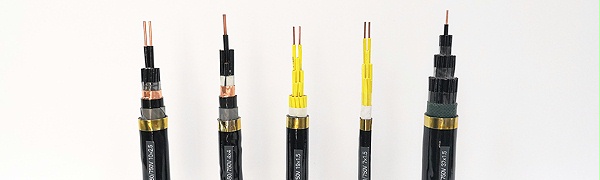 ZR-RVV电缆 软芯护套线