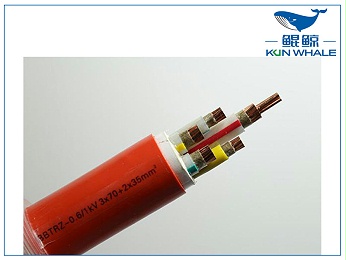 太平洋线缆带你了解BBTRZ防火电缆的字母含义