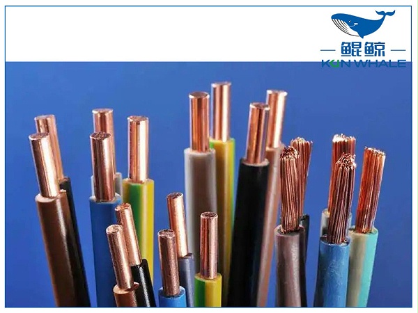 BYJ作为装饰行业常用的环保电线，在建筑工程和装饰行业得到了广泛的应用，具有高阻燃、低烟量、抗老化等优异的安全性能。接下来，太平洋电缆是针对:BYJ是电线还是电缆？BYJ和BV有什么区别？