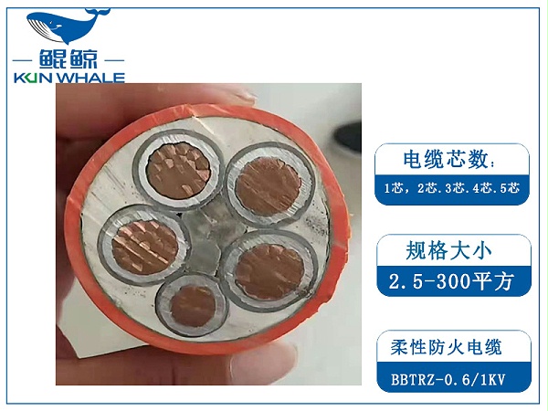 BBTRZ防火电缆