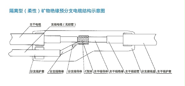 FZ-NG-A(FZ-BTLY)防火分支电缆结构图